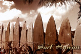 Jason Ellis - Surf Hawaii - Poster Jason Ellis - Surf Hawaii - Poster