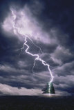 Lightning Striking Tree II Fotografía