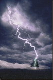Lightning Striking Tree II Stretched Canvas Print Lightning Striking Tree II Stretched Canvas Print