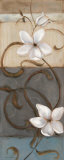 Nature's Dance I Posters par Carol Robinson