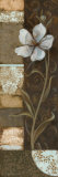 Floral Memories II Reprodukcje autor Carol Robinson Floral Memories II Reprodukcje autor Carol Robinson