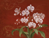 Say it with Orchids II Prints by Eugene Tava