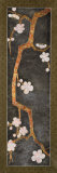 Cherry Blossom Branch II Prints by Erin Galvez