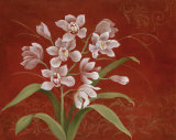 Say it with Orchids I Posters by Eugene Tava