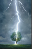 Lightning Striking Tree Stretched Canvas Print Lightning Striking Tree Stretched Canvas Print