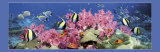 Georgette Douwma - Under the Sea Reprodukce Georgette Douwma - Under the Sea Reprodukce