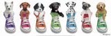 Alineación de cachorros en bambas (Sneaker Pup Line-Up) Póster por Keith Kimberlin
