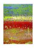 Fusion IV Lámina giclée por Ricki Mountain