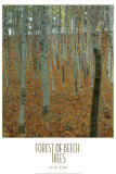 Forest of Beech Trees Art by Gustav Klimt