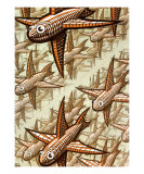 Depth, c.1955 Lámina por M. C. Escher