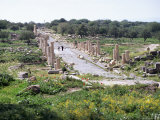 Looking West Along Decumanus Maximus, Main Street of Umm Qais, a City of Roman Decapolis, Jordan Photographic Print by Richard Ashworth