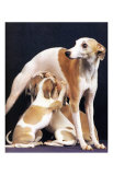Puppies and Mom Posters