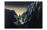 Les Fleurs de l'Abi^me 1, c.1928 Posters par Rene Magritte