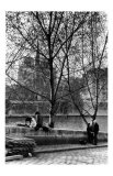 Quai d'Orlean Face a Notre Dame, c.1970 Prints by Izis 