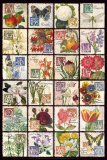 Alphabet du jardinier Affiches