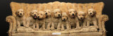 Golden Pup Line-Up Plakater af Keith Kimberlin