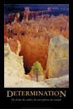 Determinacja Plakat autor Rod Edwards Determinacja Plakat autor Rod Edwards