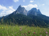May Flowers and Mount Sciliar (Sclern), Dolomites, Trentino-Alto Adige (South Tirol), Italy Photographic Print by Richard Ashworth