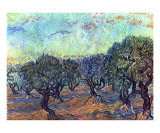 Le champ d'oliviers Affiches par Vincent van Gogh