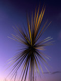 B of the Bang, Modern Steel Sculpture, City of Manchester Stadium, Manchester, England Photographic Print by Charles Bowman