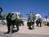 Carthage Land, Yasmine Hammamet, Tunisia, North Africa, Africa Photographic Print by Nelly Boyd