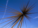 B of the Bang, Modern Steel Sculpture, City of Manchester Stadium, Manchester, England Photographic Print by Charles Bowman