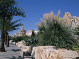The Medina, Yasmine Hammamet, Tunisia, North Africa, Africa Photographic Print by Nelly Boyd