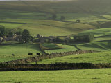 Moors at Ingleborough, North Yorkshire, Yorkshire, England, United Kingdom Photographic Print by Charles Bowman