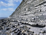 Fossil Bearing Lias Beds, Seven Rock Point, Jurassic Coast, Lyme Regis Fotografisk trykk av Cyndy Black Fossil Bearing Lias Beds, Seven Rock Point, Jurassic Coast, Lyme Regis Fotografisk trykk av Cyndy Black