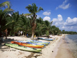 Beach with Palm Trees and Kayaks, Punta Soliman, Mayan Riviera, Yucatan Peninsula, Mexico Fotografisk trykk av Nelly Boyd