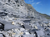 Fossil Bearing Lias Beds, Seven Rock Point, Jurassic Coast, Lyme Regis Fotografisk trykk av Cyndy Black Fossil Bearing Lias Beds, Seven Rock Point, Jurassic Coast, Lyme Regis Fotografisk trykk av Cyndy Black