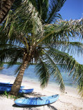 Beach with Palm Tree and Kayak, Punta Soliman, Mayan Riviera, Yucatan Peninsula, Mexico Fotografisk trykk av Nelly Boyd