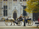 Horse-Drawn Trap, Bruges, Belgium Photographic Print by Tom Ang
