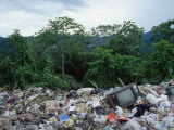 Rubbish Dump in Rainforest, Northern Range, Trinidad, West Indies, Central America Fotografisk trykk av Julia Bayne Rubbish Dump in Rainforest, Northern Range, Trinidad, West Indies, Central America Fotografisk trykk av Julia Bayne