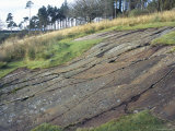 Cup and Ring Carvings, Achnabreck, Argyll and Bute Photographie par Pearl Bucknall