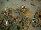 Children Fishing in Rock Pools, Sidmouth, Devon, England, United Kingdom Fotografisk trykk av Cyndy Black Children Fishing in Rock Pools, Sidmouth, Devon, England, United Kingdom Fotografisk trykk av Cyndy Black