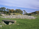 Nether Largie South Cairne, Part of the Neolithic and Bronze Age Linear Cemetery, Argyll and Bute Photographie par Pearl Bucknall