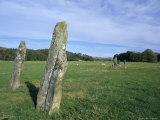Standing Stones in Lady Glassary Wood, Kilmartin Glen, Scotland Photographie par Pearl Bucknall
