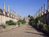 Vicar's Close, Wells, Somerset, England, United Kingdom Photographic Print by Julia Bayne