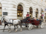 Horse-Drawn Tourist Carriage Near Hofburg, Vienna, Austria Photographic Print by Charles Bowman