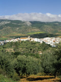El Burgo Village and Olive Groves Surrounded by Cloud-Topped Mountains of the Sierra De Las Nieves Photographie par Pearl Bucknall