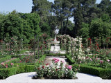 Rose Garden, Parque Del Retiro, Madrid, Spain Photographic Print by Jeremy Bright