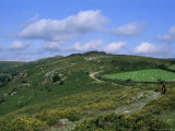 Horse Rider on Track to Mel Tor, Dartmoor, Devon, England, United Kingdom Photographic Print by Cyndy Black