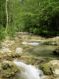 Gorges d'Omblez, Near La Chapelle En Vercors, Drome, Rhone Alpes, France Photographic Print by Michael Busselle