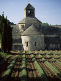 Abbaye De Senanque, Gordes, Vaucluse, Provence, France Photographic Print by Jean Brooks Abbaye De Senanque, Gordes, Vaucluse, Provence, France Photographic Print by Jean Brooks