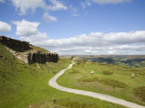 Remains of Kilns from Old Ironstone Workings on Rosedale Moor with View to Esk Dale Valley Photographie par Pearl Bucknall