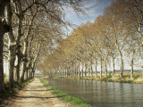 The Canal Du Midi, Near Capestang, Languedoc Roussillon, France Fotografisk trykk av Michael Busselle The Canal Du Midi, Near Capestang, Languedoc Roussillon, France Fotografisk trykk av Michael Busselle
