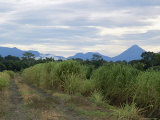 Arenal Volcano from Afar, Muelle, Alajuela, Costa Rica, Central America Photographic Print by Pearl Bucknall