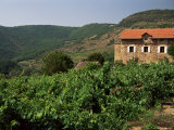 Farmhouse Near Millau, Aveyron, Midi Pyrenees, France Photographic Print by Michael Busselle