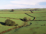 Fields on the Edge of Exmoor National Park, Challacombe, Exmoor, Devon, England Photographie par Pearl Bucknall